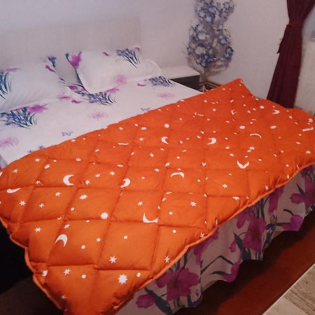 Apartmán Casa Roxy Cristian  Exteriér fotografie