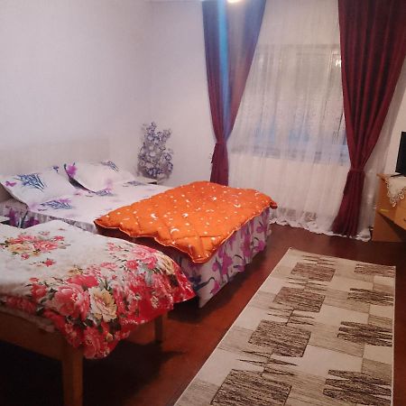 Apartmán Casa Roxy Cristian  Exteriér fotografie