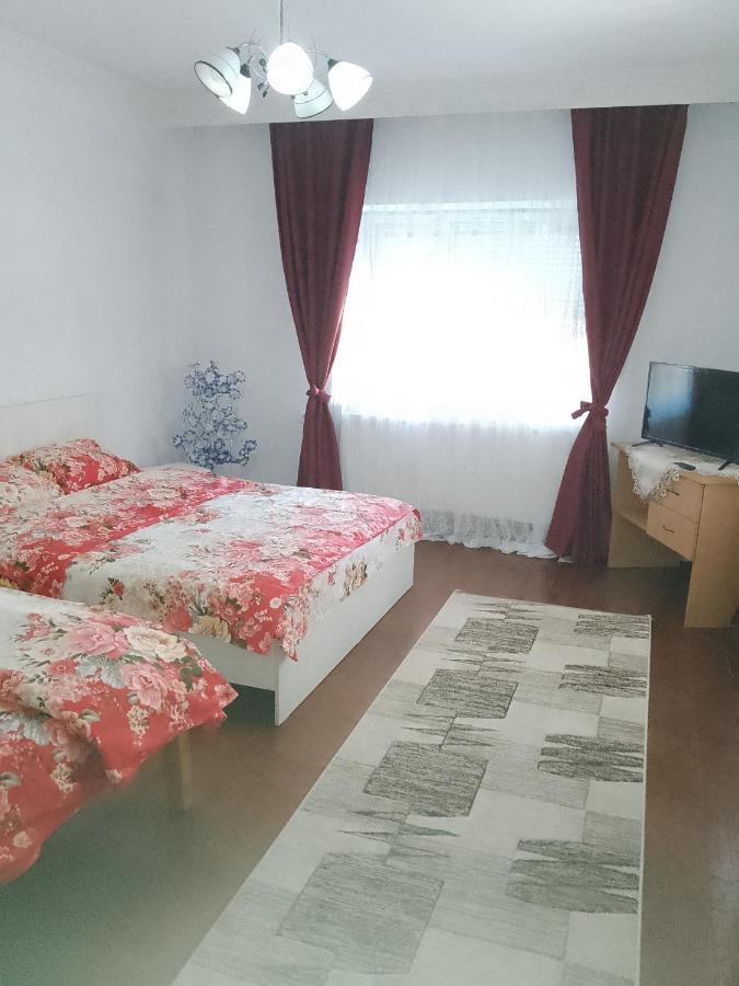 Apartmán Casa Roxy Cristian  Exteriér fotografie